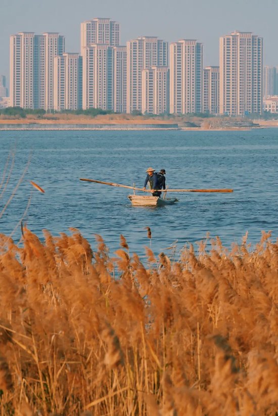 秦朔朋友圈:怎样才能办好自己的事——年终经济漫谈之三 || 大视野 第6张 秦朔朋友圈:怎样才能办好自己的事——年终经济漫谈之三 || 大视野 第6张