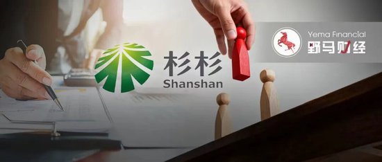 辽宁首富对手来了!马应龙母公司入局杉杉重整 第1张 辽宁首富对手来了!马应龙母公司入局杉杉重整 第1张