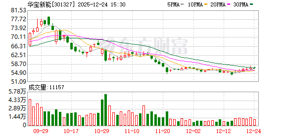 华宝新能：2026年1月12日召开2026年第一次临时股东会  第1张