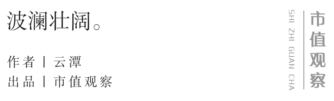 2025年，A股十大暴涨公司  第2张