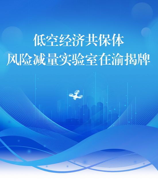 低空经济共保体风险减量实验室在渝揭牌 第1张 低空经济共保体风险减量实验室在渝揭牌 第1张