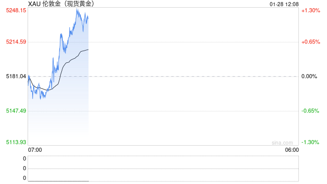 隐秘金库挑战华尔街：万亿稳定币巨擘Tether核掩体囤金140吨  目标“全球最大黄金央行之一” 第1张