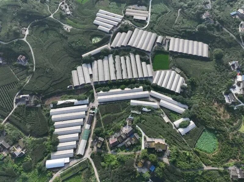 恒丰银行为新春“肉篮子”添“金” 第1张 恒丰银行为新春“肉篮子”添“金” 第1张