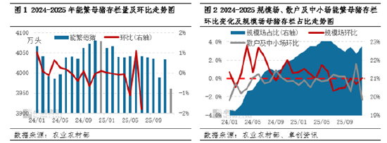 从产能过剩到结构优化：能繁母猪存栏量下降如何重塑生猪产业链？  第3张