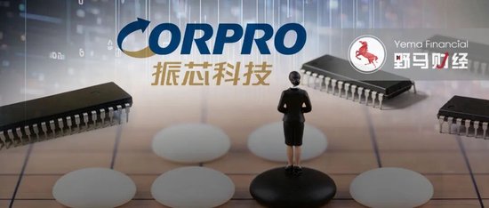 “美女富豪”从阶下囚到掌舵人，115亿振芯科技终归她手  第1张