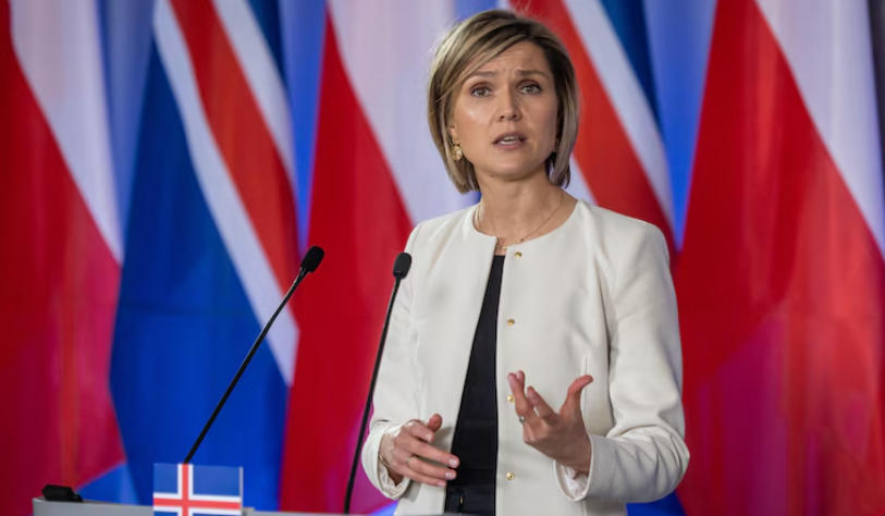 冰岛预计于未来数月就是否启动加入欧盟程序举行公投  第1张