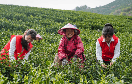一针一线编织“兴农”锦绣――浙江稠州商业银行躬耕乡村赋能共富纪实  第1张