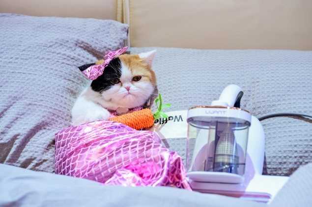 当清洁电器集体“长手长脚”，友望为何选择“让用户不受罪”？  第6张