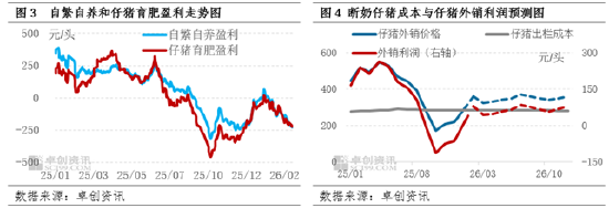 政策与市场共同驱动，母猪产能或在二三季度加速去化  第4张